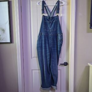 Sonoma Blue Denim Overalls